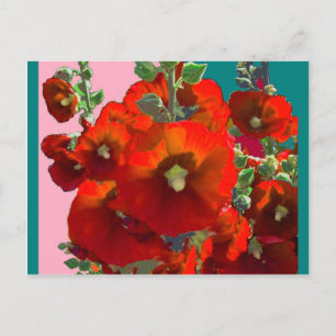 Oranje Hollyhock Garden Gifts Briefkaart
