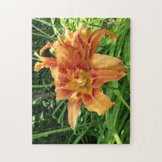 Oranje horizontale dagbloemen legpuzzel (Verticaal)