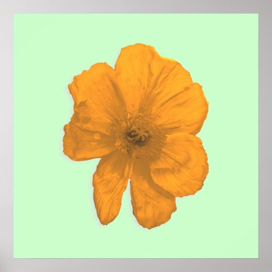 Oranje hulp/PopArt Flower Poster (Voorkant)