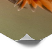 Oranje Hummingbird & Ruffled Feathers Poster (Hoek)