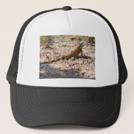 Oranje Iguana hunts Trucker Pet