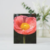 Oranje IJsland Poppy II Briefkaart (Staand voorkant)