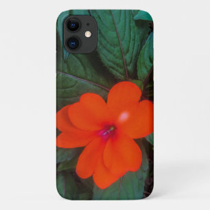 Oranje Impatiens Bloem iPhone 11 Hoesje