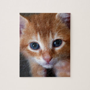 Oranje is de nieuwe kat legpuzzel