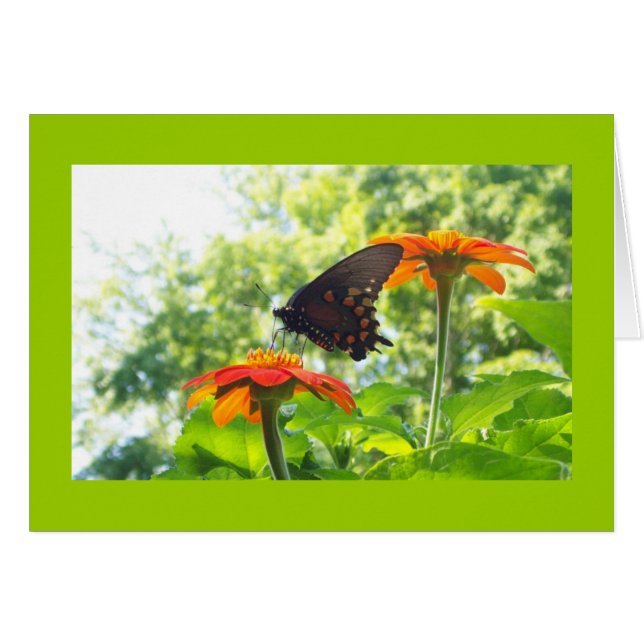 Oranje is Mijn Happy Kleur (Voorkant Horizontaal)