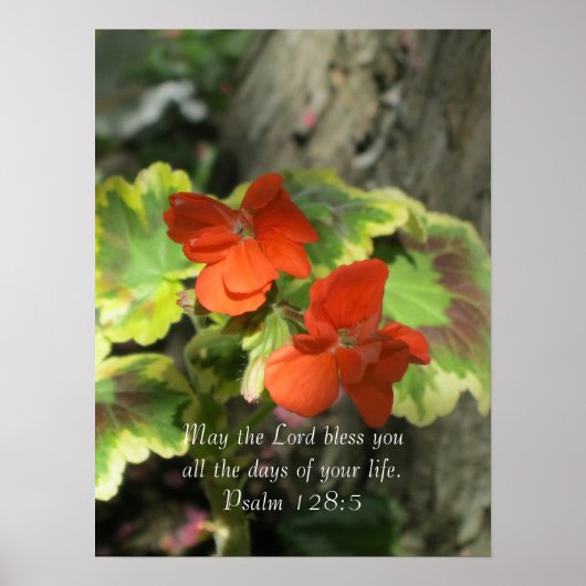Oranje jaaraniums ~ Psalm 128:5 Poster (Voorkant)