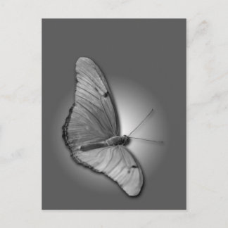 Oranje Julia Briefkaart