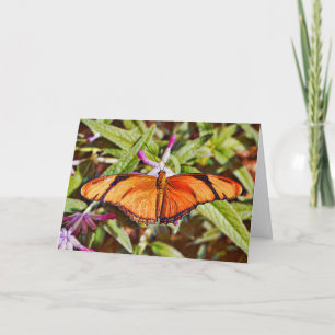 Oranje Julia Butterfly Birthday Kaart