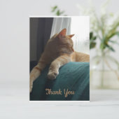 Oranje kat bedankkaart (Staand voorkant)