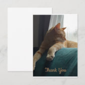 Oranje kat bedankkaart (Voorkant / Achterkant)
