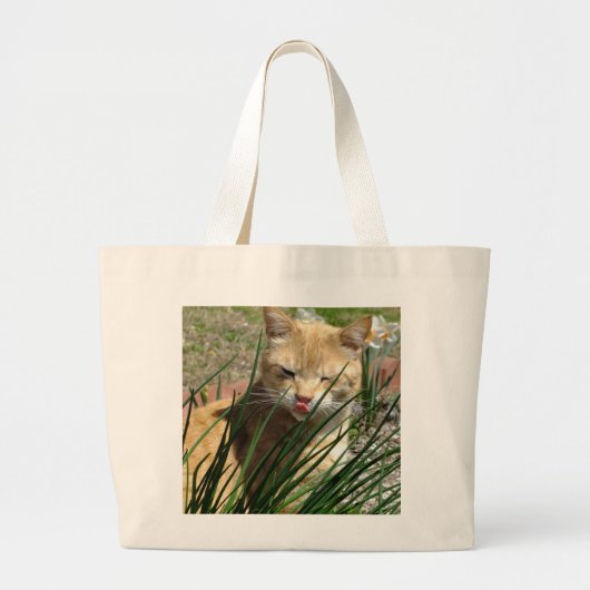 Oranje Kat Gives Raspberry Canvas tas (Voorkant)
