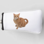 Oranje kat golfheadcover (Voorkant)