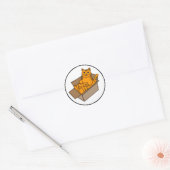 Oranje kat in een doos Funny Ronde Sticker (Envelop)
