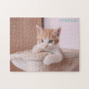 Oranje kat in kattenboom / Oranje kitten Legpuzzel