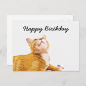 Oranje kat is op witte achtergrond verjaardag briefkaart (Voorkant / Achterkant)