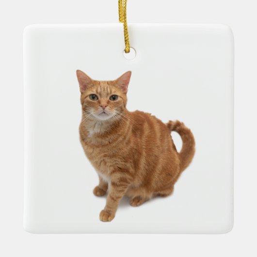 Oranje kat keramisch ornament (Voorkant)