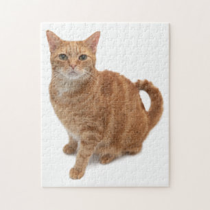 Oranje kat legpuzzel
