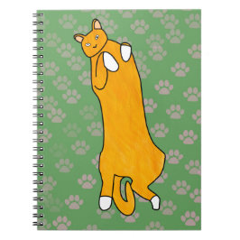 Oranje kat ligt op zijn rug notitieboek