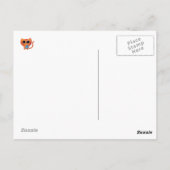 Oranje kat met ster briefkaart (Achterkant)