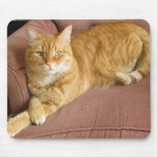oranje kat muismat