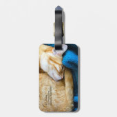 Oranje kat op deken bagagelabel (Achterkant verticaal)