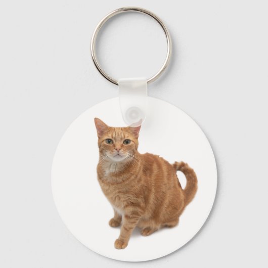 Oranje kat sleutelhanger (Voorkant)
