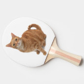 Oranje kat tafeltennisbatje (Zijkant)
