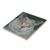 Oranje - Kat - tegel Tegeltje (Zijkant)