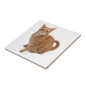 Oranje kat tegeltje (Zijkant)