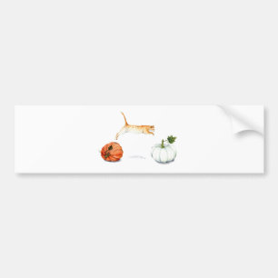 Oranje kat tussen pompoenen bumpersticker