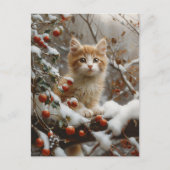 Oranje kat winterbessen briefkaart (Voorkant)