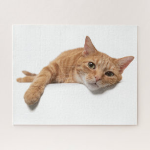 Oranje kattebakje omlaag legpuzzel