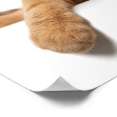 Oranje kattebakje omlaag poster (Hoek)