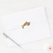 Oranje kattebakje omlaag vierkante sticker (Envelop)