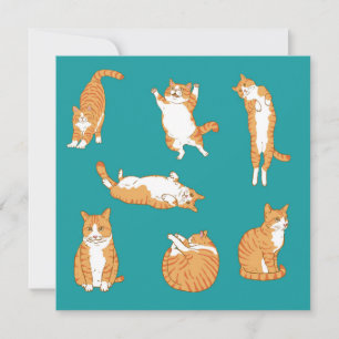 Oranje Katten Grappige Verjaardag Kaart