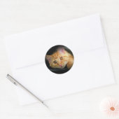 Oranje katten Sticker (Envelop)