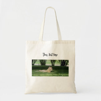 Oranje kattenfotografie Tote Bag