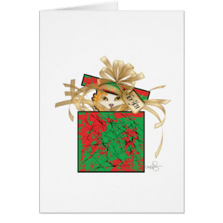 Oranje kerstcadeau met kat