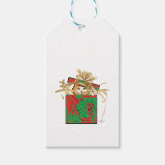 Oranje kerstcadeau met kat cadeaulabel