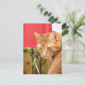 Oranje kerstfeest feestdagenkaart (Staand voorkant)