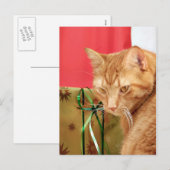 Oranje kerstfeest feestdagenkaart (Voorkant / Achterkant)