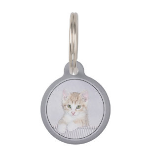 Oranje keukenschilderij - Oorspronkelijke kattekun Huisdierpenning