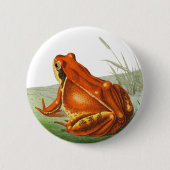 Oranje kikker  illustratie ronde button 5,7 cm (Voorkant)
