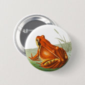 Oranje kikker  illustratie ronde button 5,7 cm (Voorkant /achterkant)