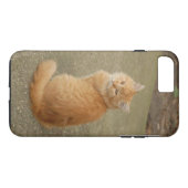 Oranje Kitten Foto Case-Mate iPhone Case (Achterkant (Horizontaal))