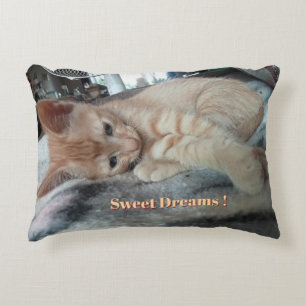 Oranje Kitten , Grappige Tekst , Foto Aanpasbaar Accent Kussen