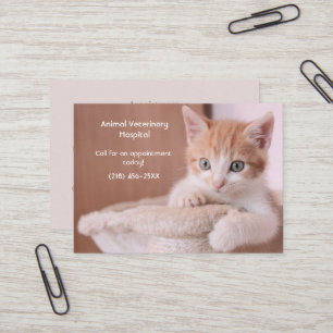 Oranje Kitten Pet Care Afspraak Visitekaartje