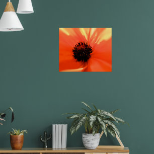 Oranje klaproos - Op maat gemaakt - Zachte Poster