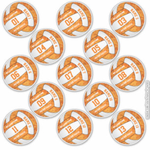 oranje klein geheel van 13 volleybal sticker