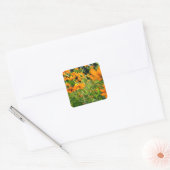 Oranje kosmos Flowers Vierkante Sticker (Envelop)